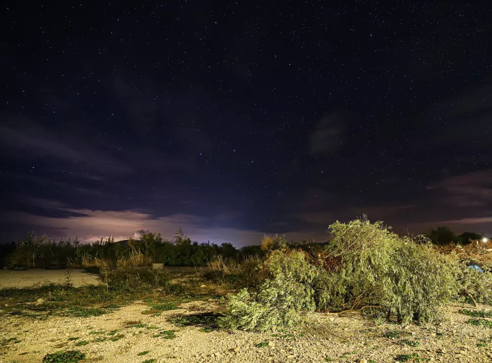 Ursa Major Constellation Stars, Myth, Facts, Location Constellation