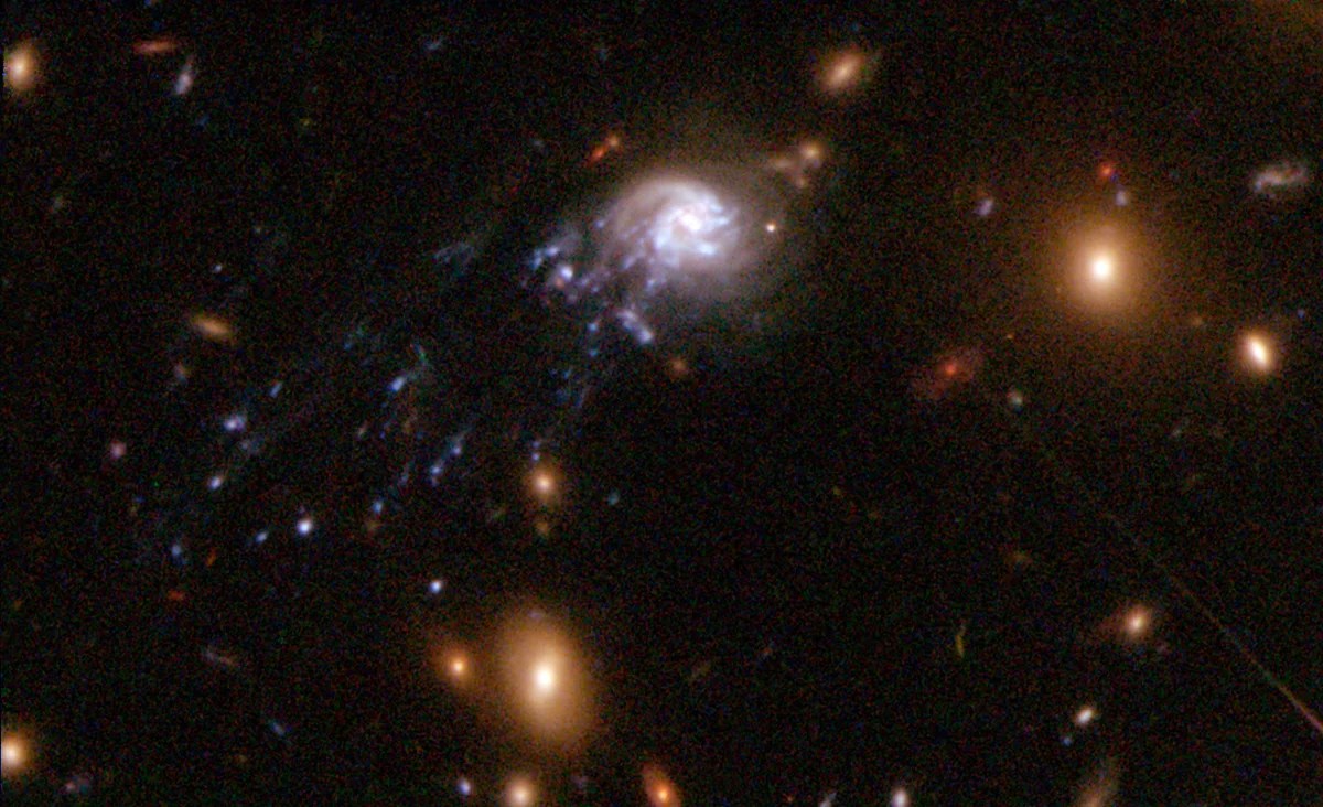 Comet Galaxy (LEDA 3234374) A Tail of Stripped Starlight