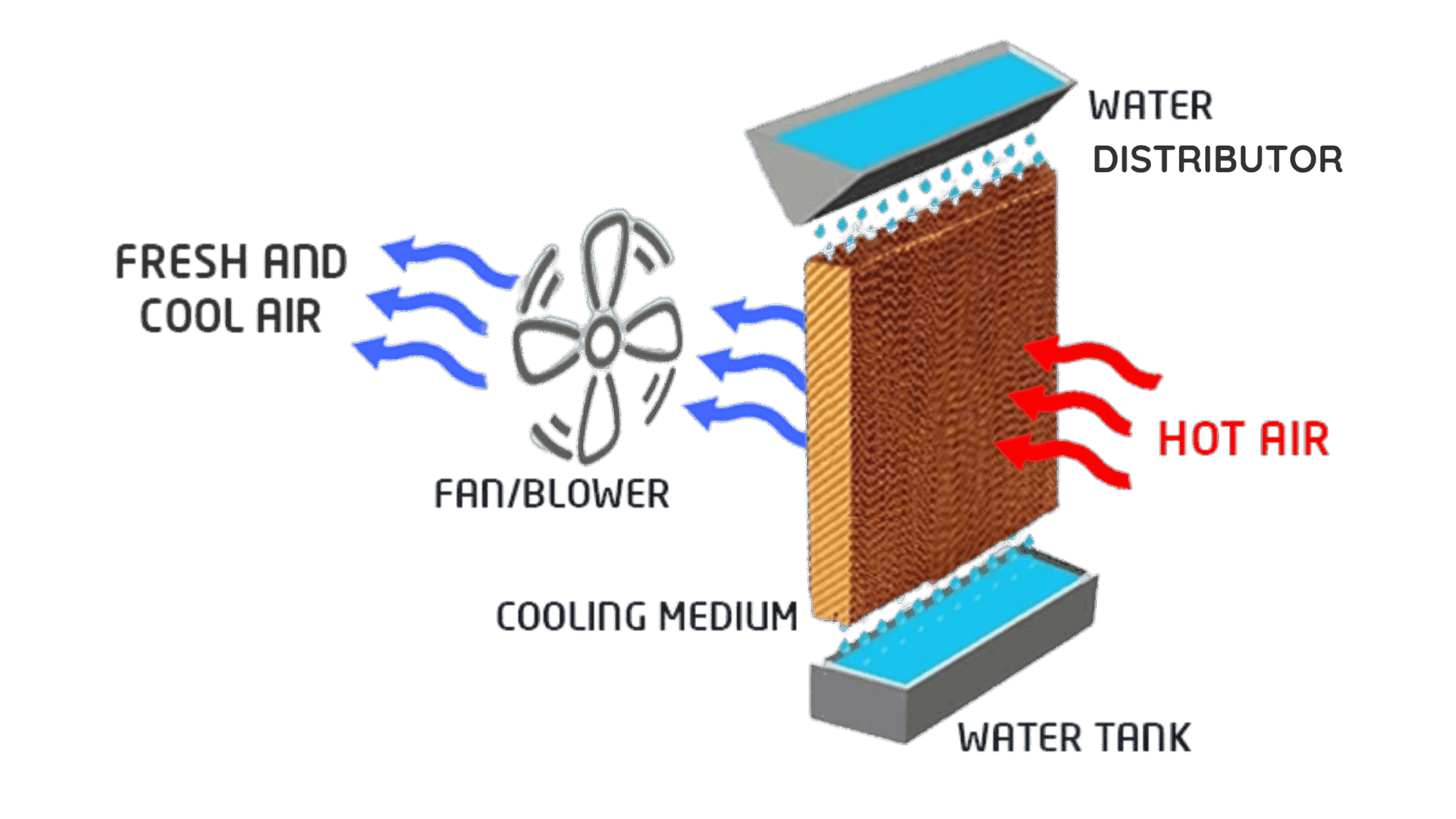 Does Air Cooler Really Cause Cold? Constromech FZCO