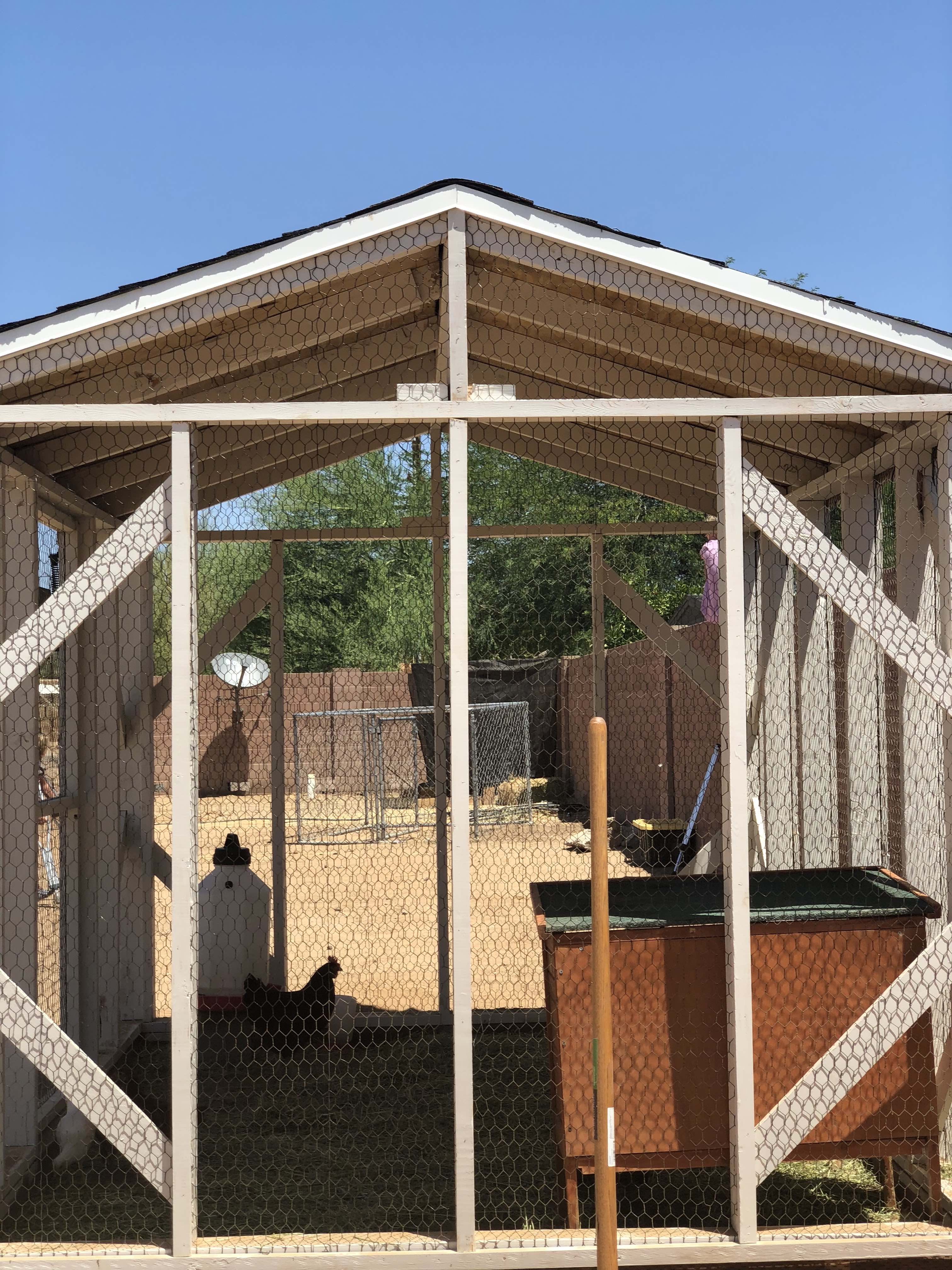 chicken run Construct101