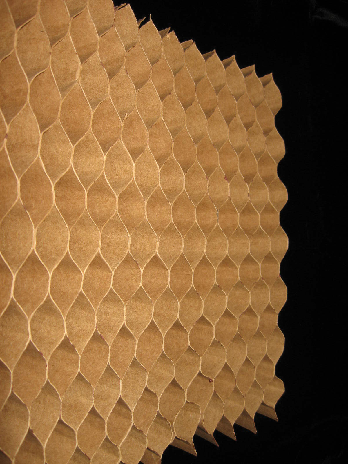 Steeling for Success More to metal doors than just the metal