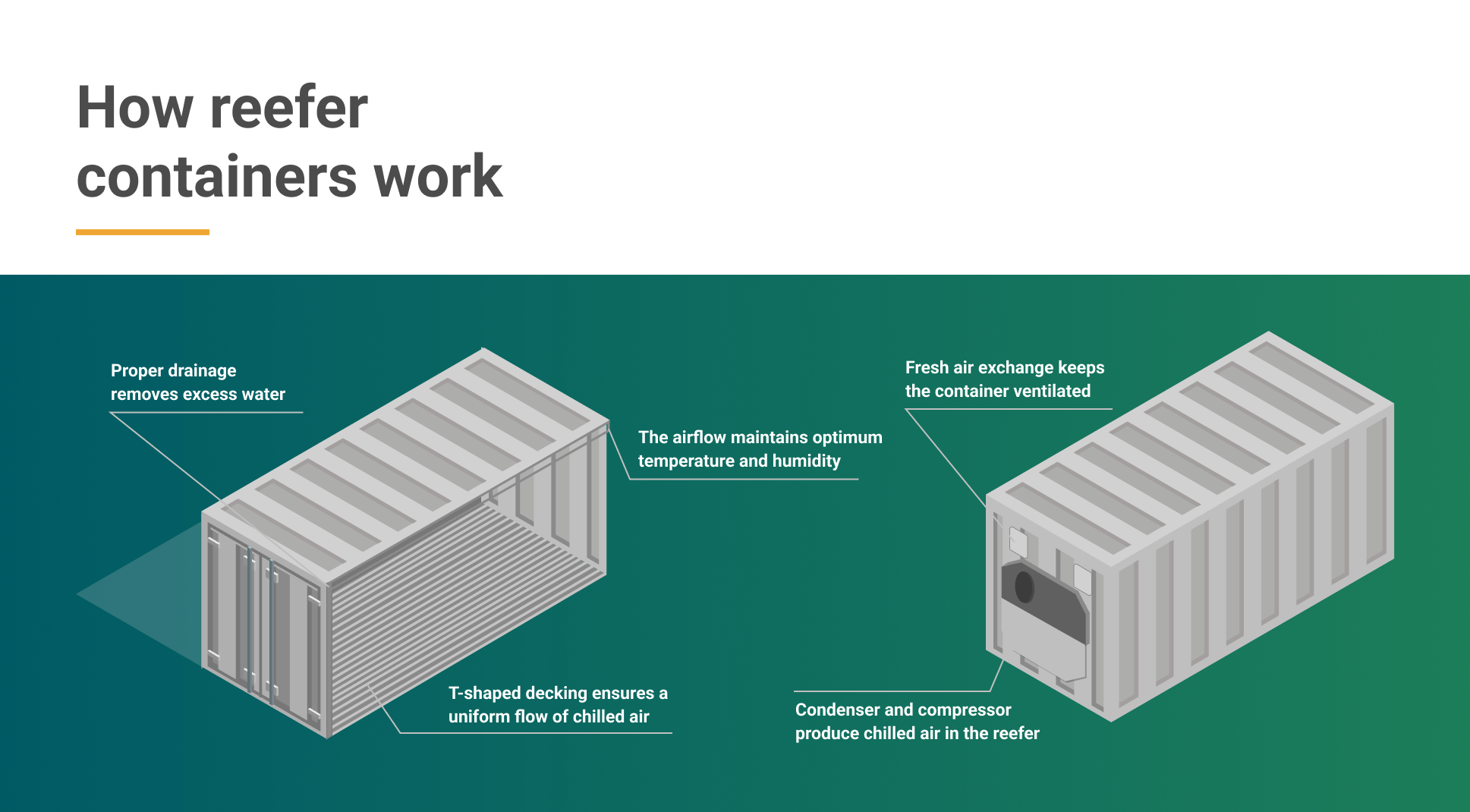 Reefer Containers Temperature, Prices & How it Works