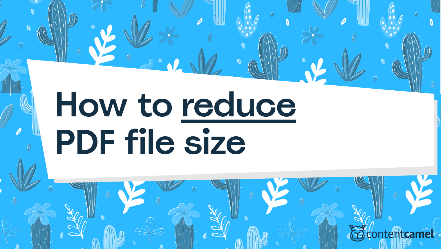 How To Reduce the File Size of a PDF Content Camel