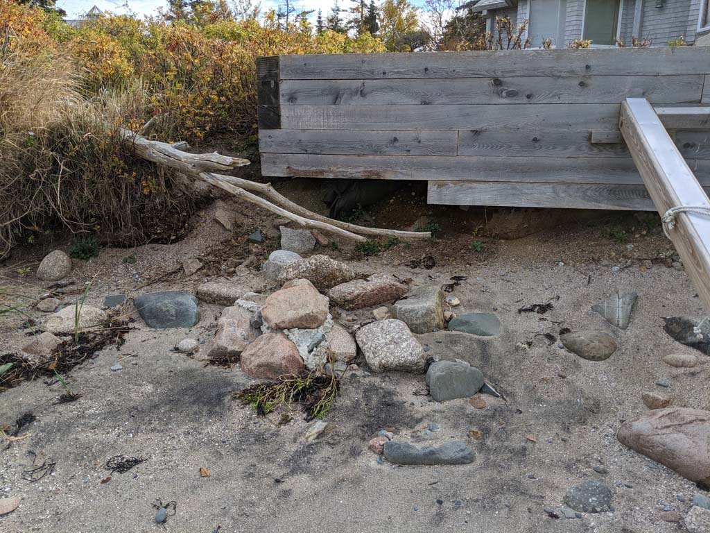 For Sale Corea Maine at Debra Bryan blog