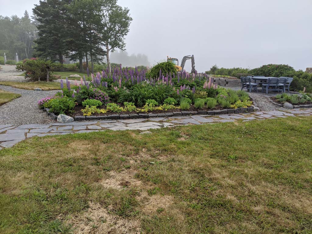 Corea, Maine Context by Design