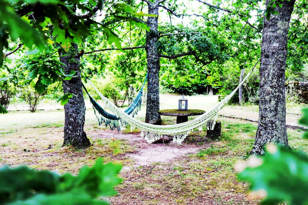 Casa das Palmeiras Nature Houses & Pedagogic Farm Gandufe Mangualde
