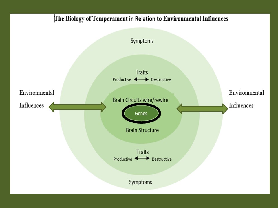 Anorexia with TemperamentBased Therapy A Novel Approach