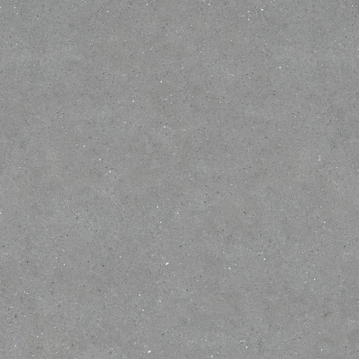 Kajaria Sahara Grey ContractorBhai