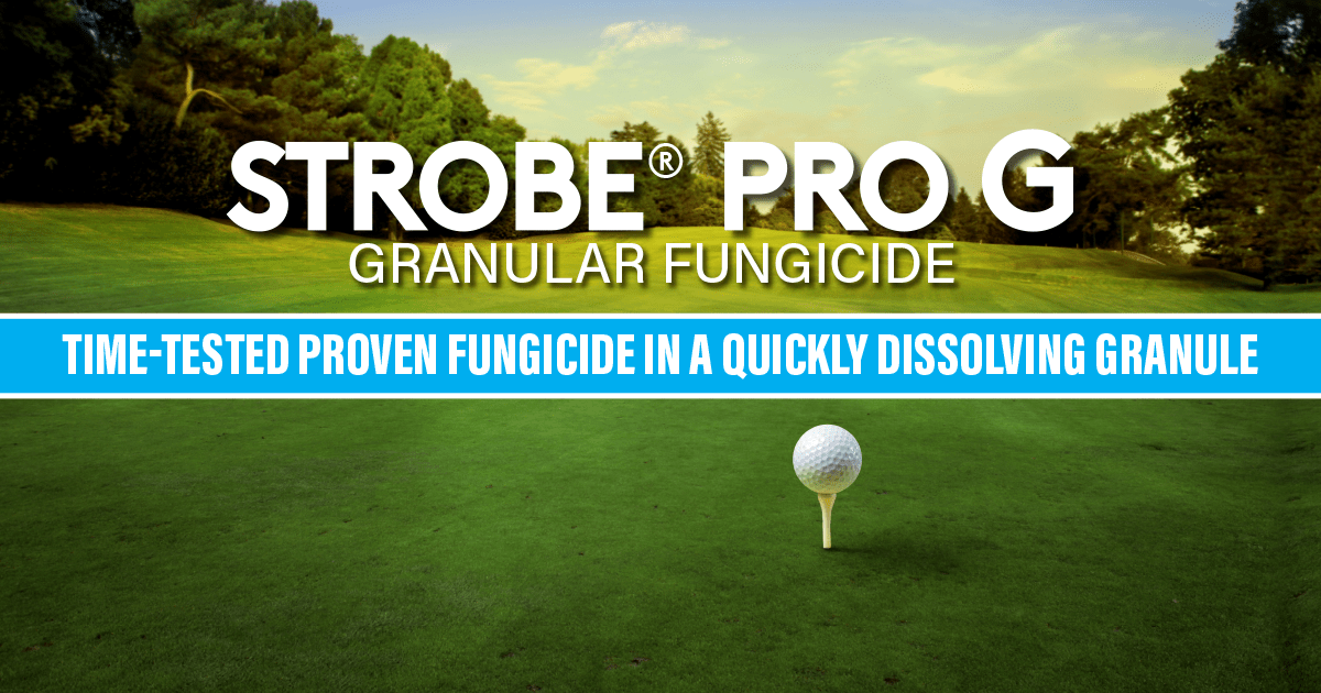 The Flexibility of Strobe Pro G