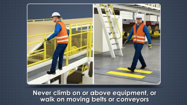 Box Plant Safety Convergence Corrugated Training