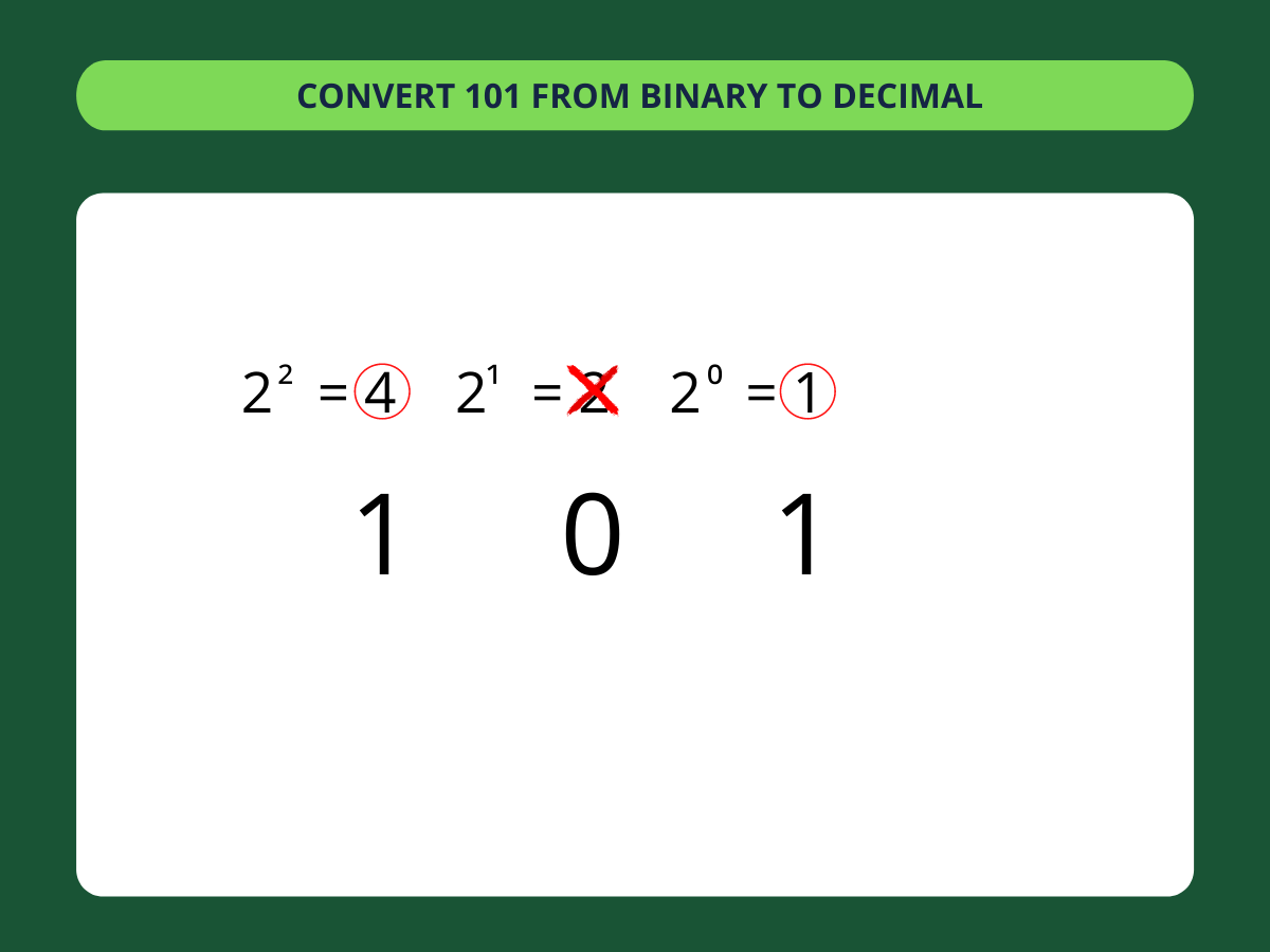 Binary to Decimal Converter ️