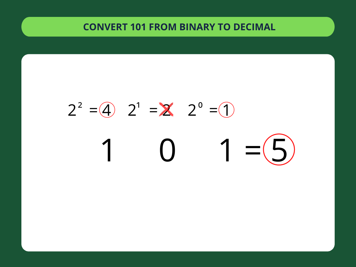 Binary to Decimal Converter ️