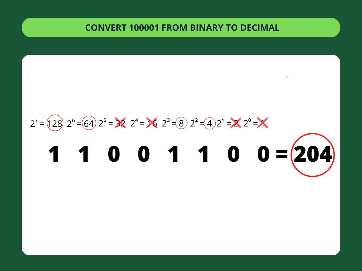 Binary to Decimal Converter ️