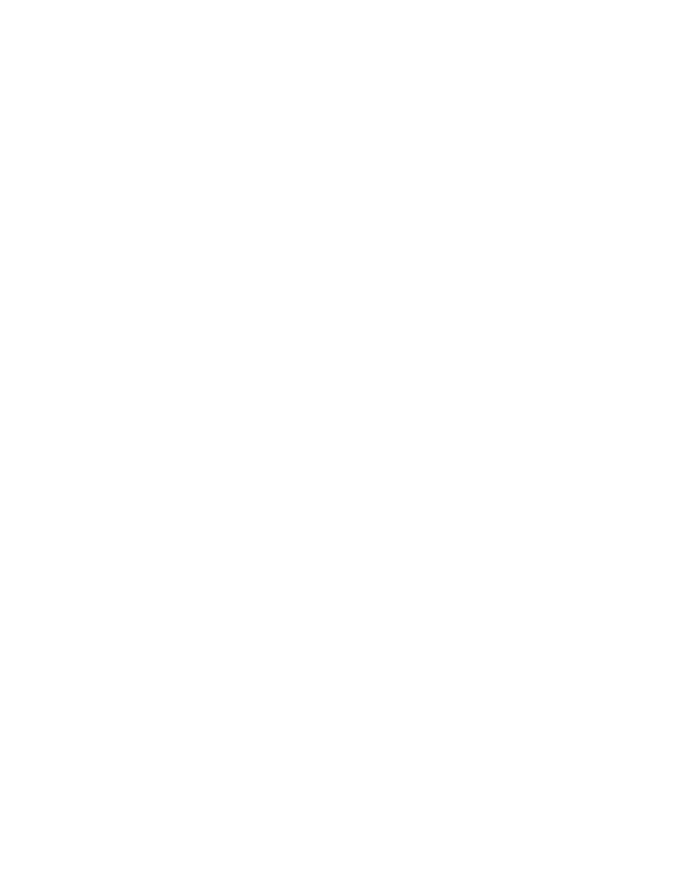 Converter Accessory Corporation