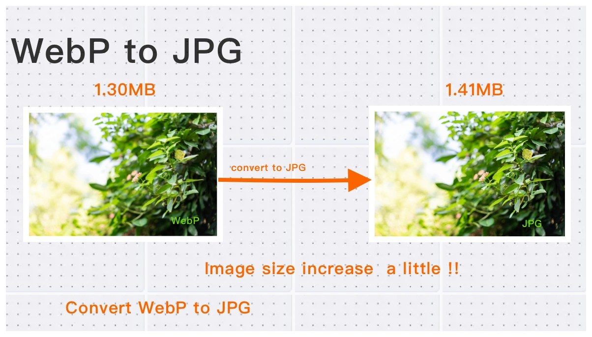 Free P to JPG A Simple and Efficient Image Format Converter