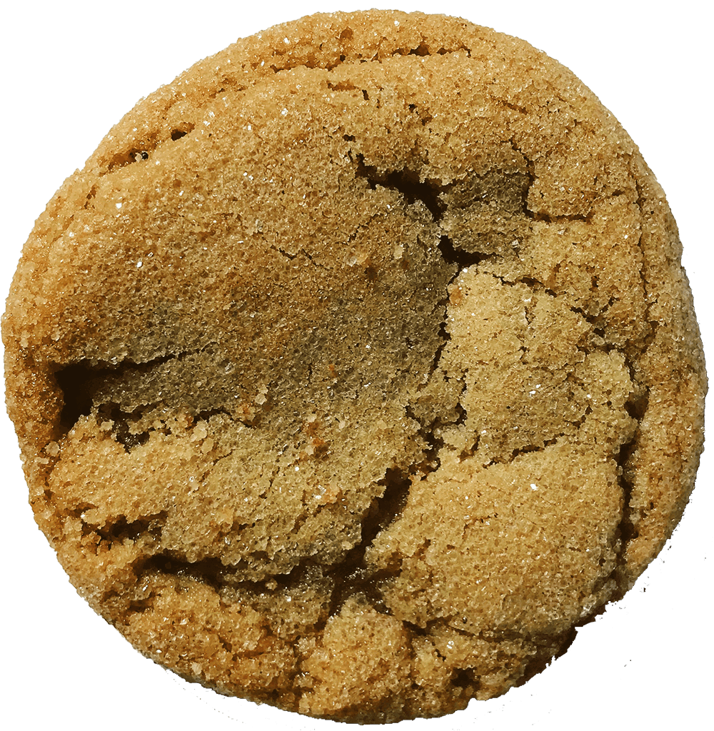 Ginger Cookies The Cookie Caterer