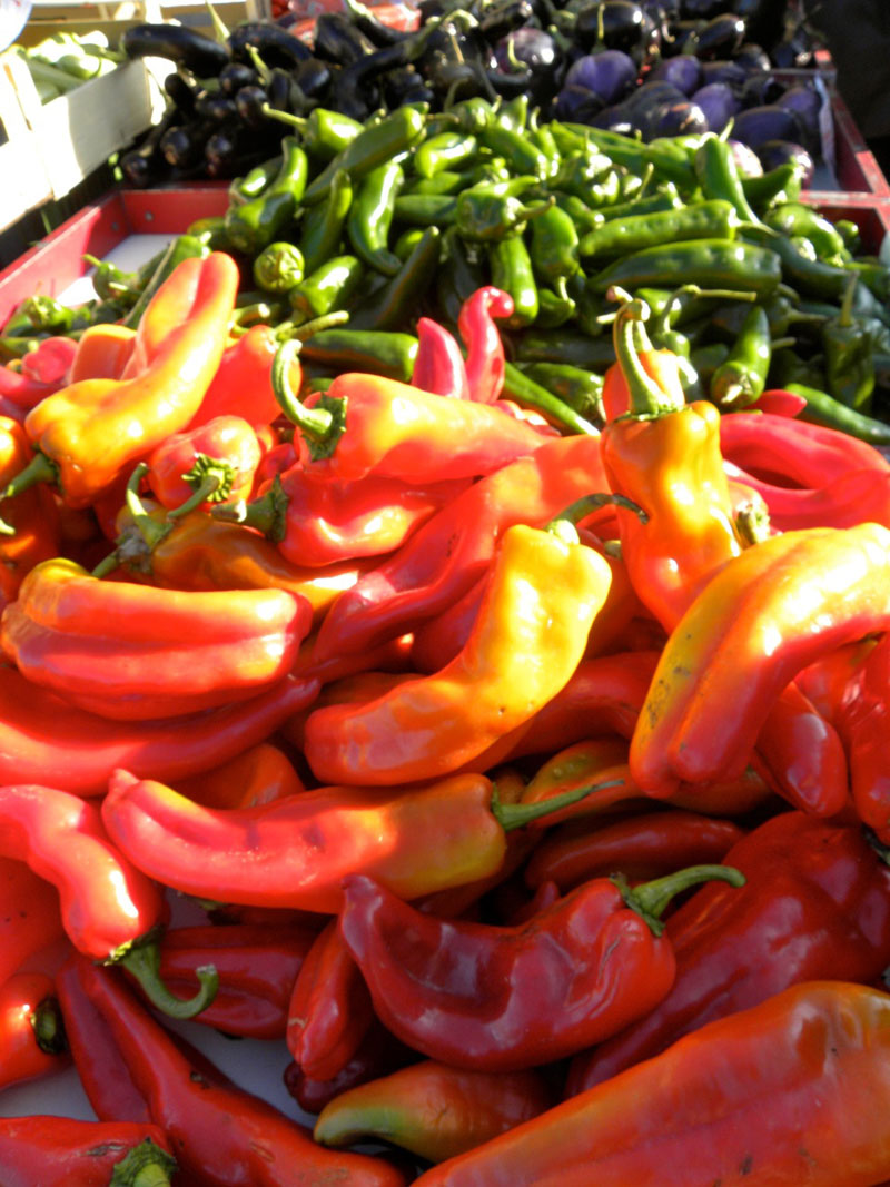 Calabria Cooking Vacations & Diamante Chili Pepper Festival