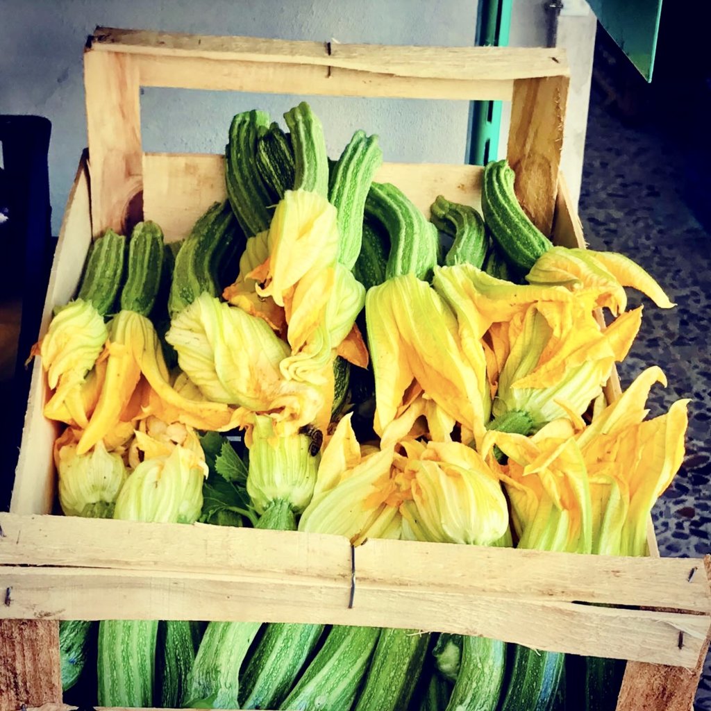 Courgette flowers.jpeg CookingBites Cooking Forum