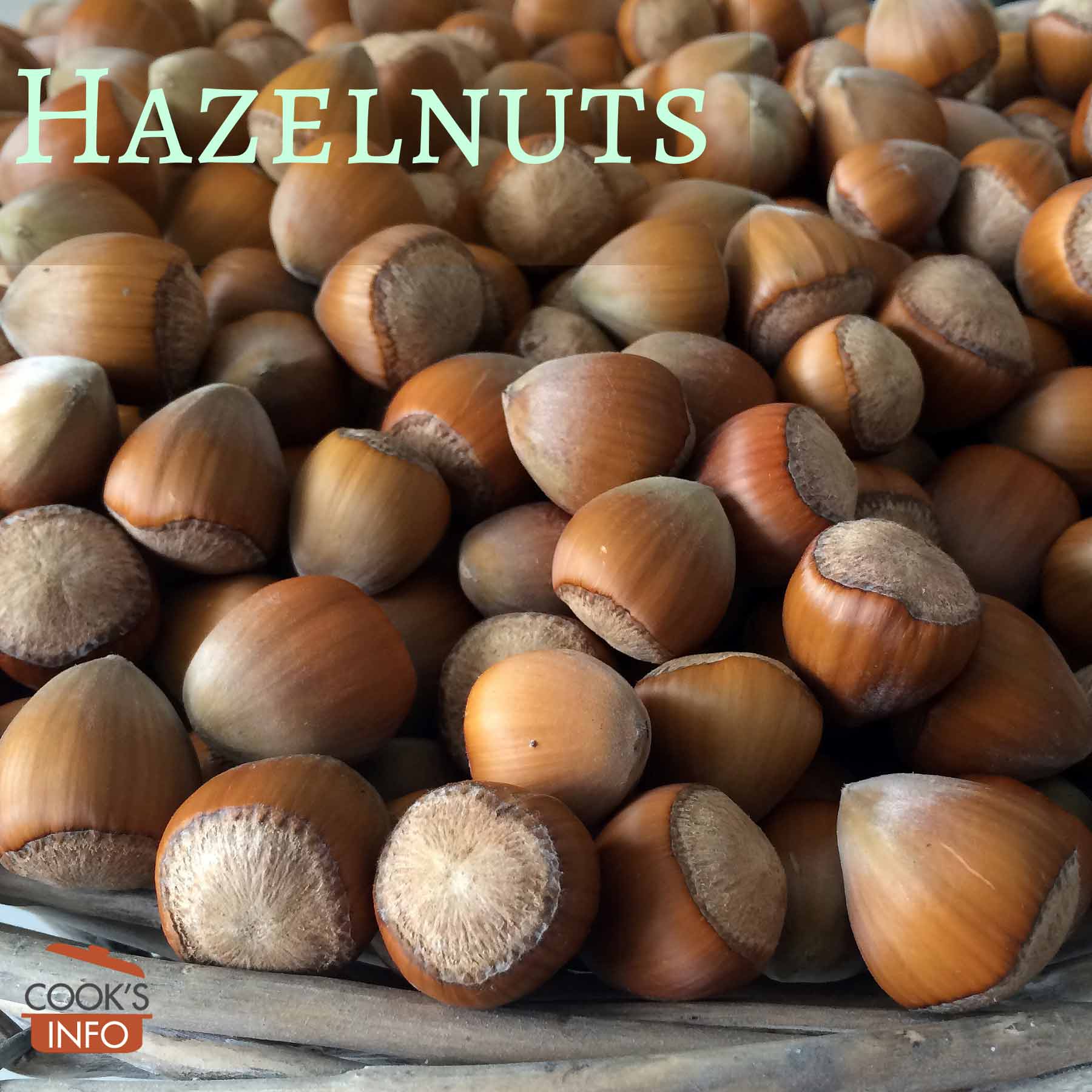 Everything You Need To Know About Hazelnuts Khoshbin Group, 53 OFF