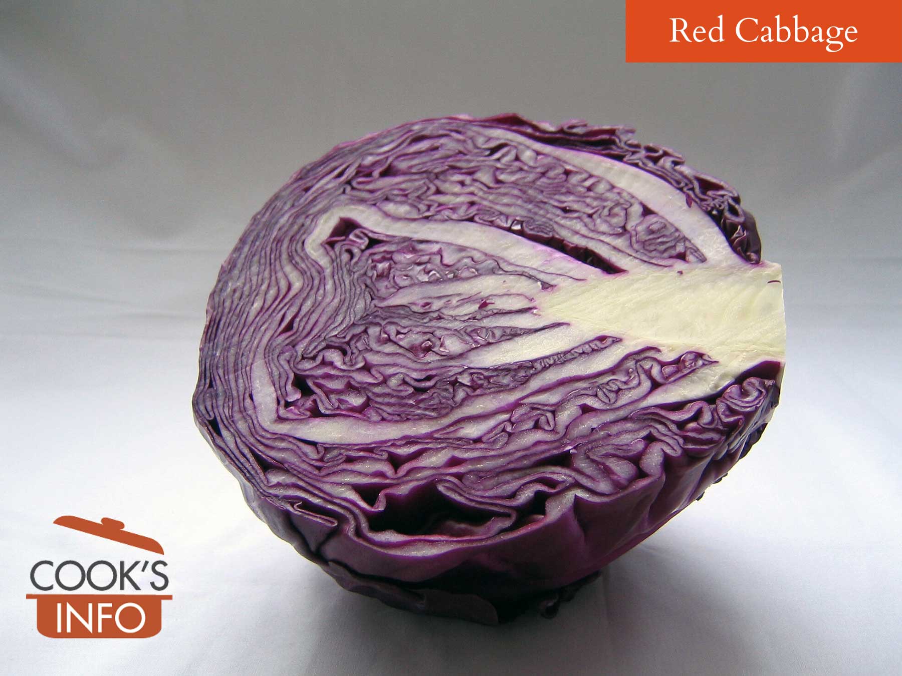 Is Red Cabbage Bad For Dogs