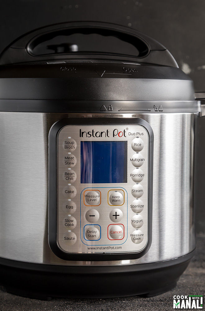 Instant Pot Beginner's Guide (Tips & FAQs) Cook With Manali