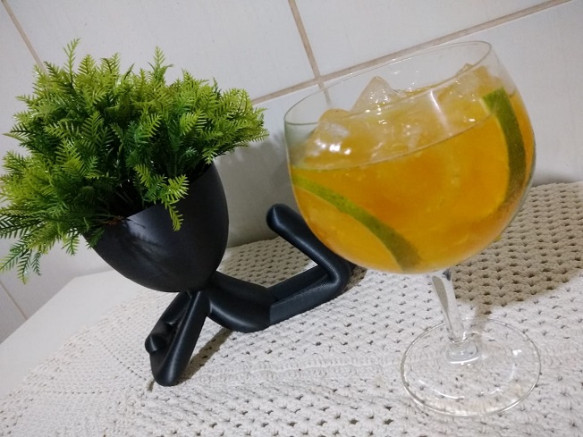 Gin com frutas 05 receitas de drinks para fazer em casa Cooky