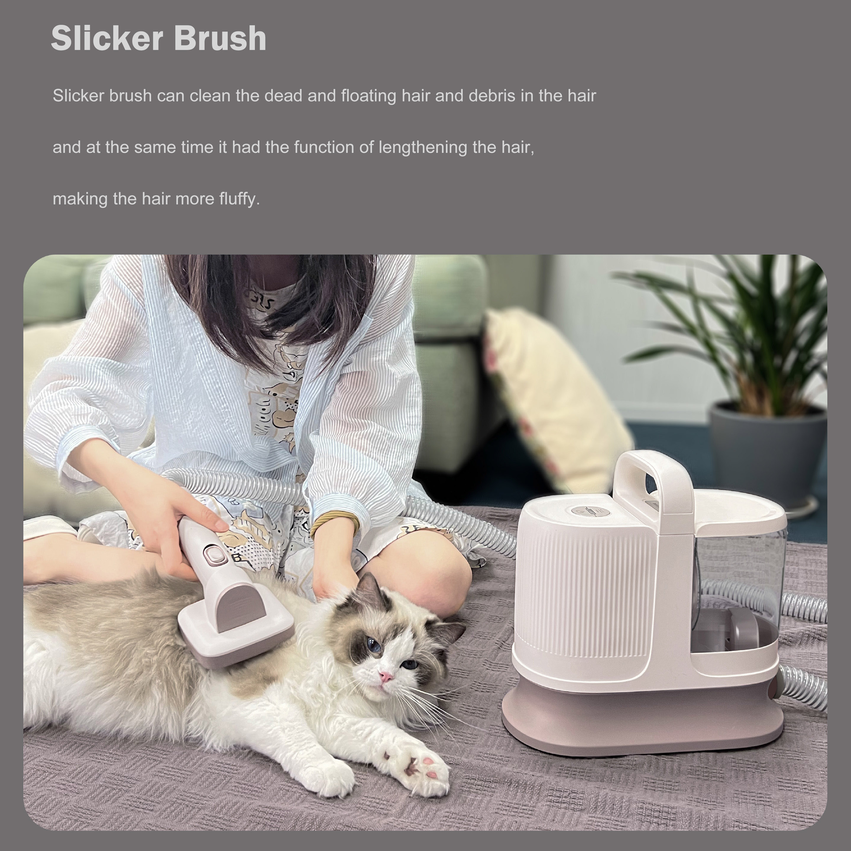 News - GdEdi Vacuum Cleaner For Dog And Cat Grooming