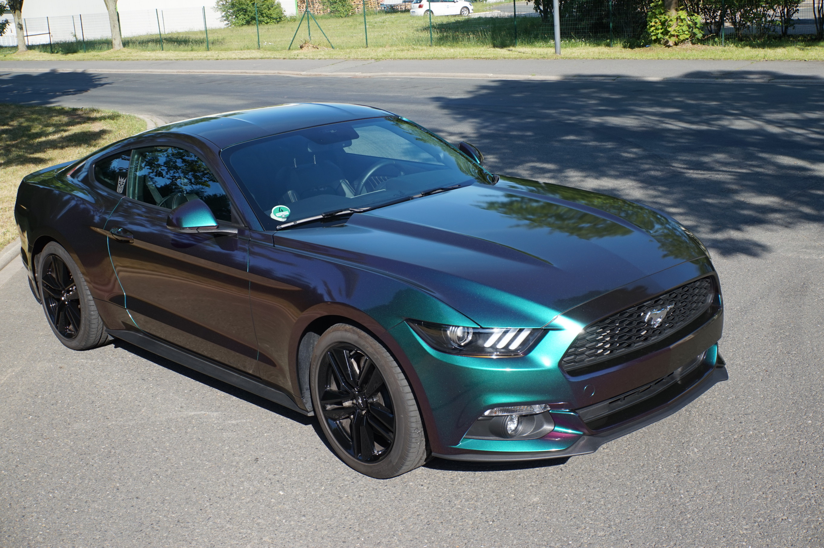 Cool-Tints | Ford Mustang Flip Flop - Cool-Tints