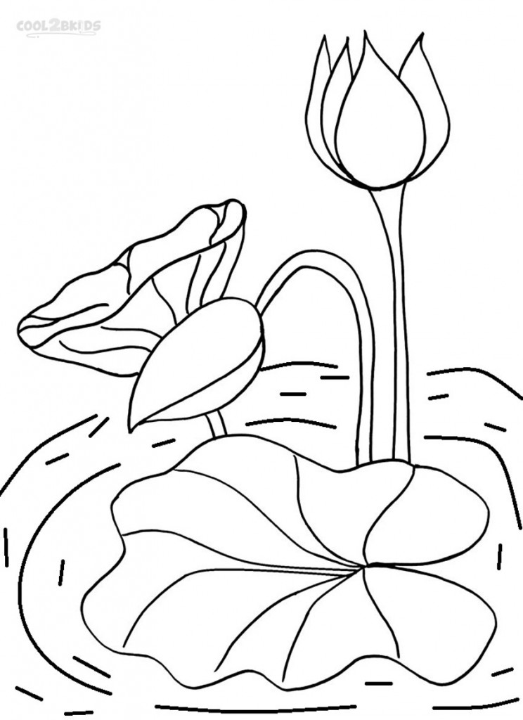 Printable Lily Pad Coloring Pages For Kids