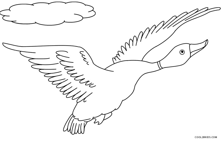 Printable Duck Coloring Pages For Kids Cool2bKids