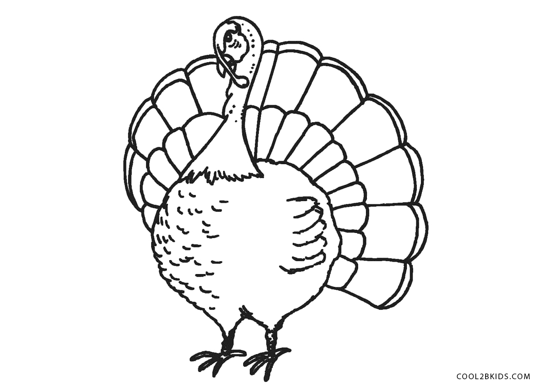 Free Printable Turkey Coloring Pages For Kids