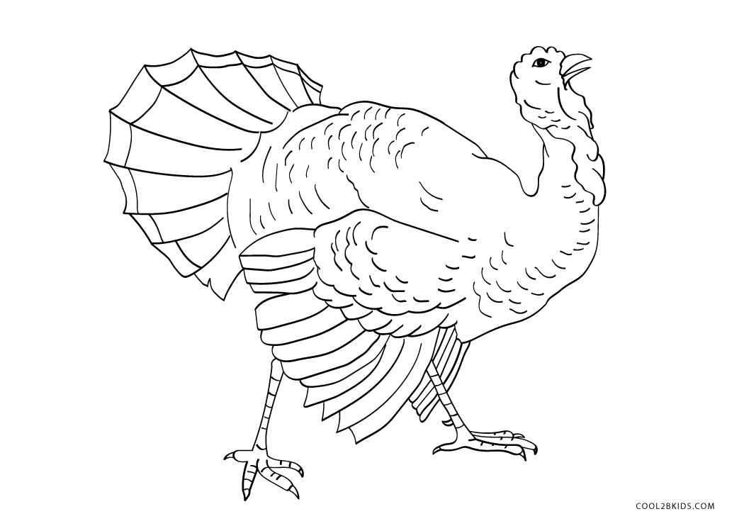 Free Printable Turkey Coloring Pages For Kids