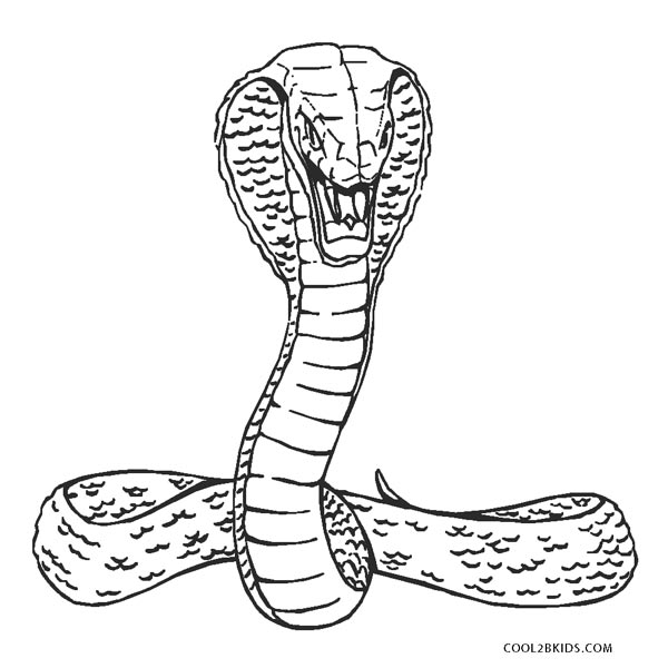 Free Printable Snake Coloring Pages For Kids