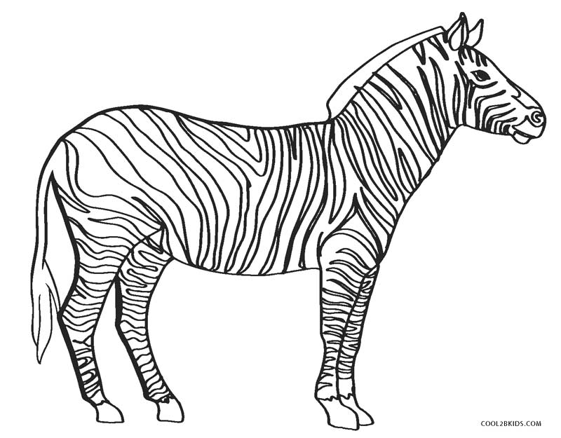 Ausmalbilder Zebra Malvorlagen kostenlos zum ausdrucken