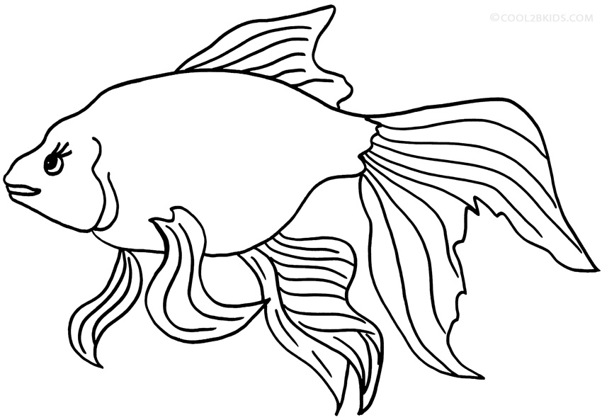 Coloriages Poisson Rouge Coloriages Gratuits à Imprimer