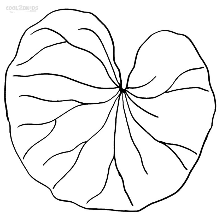 Coloriages Nénuphar Coloriages Gratuits à Imprimer