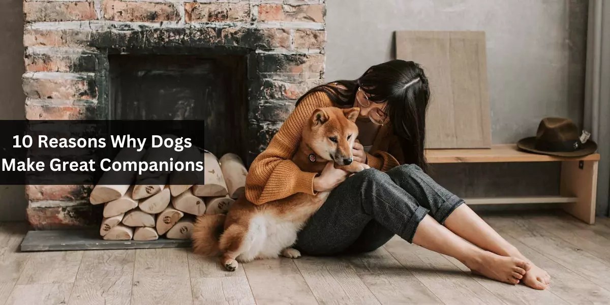 10 Reasons Why Dogs Make Great Companions