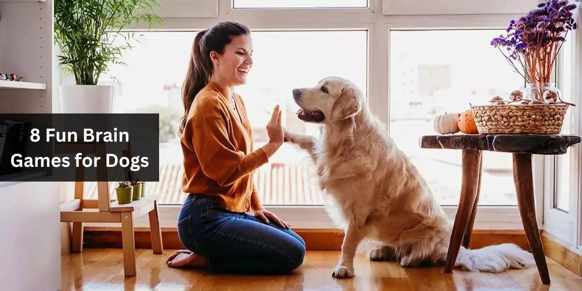 8 Fun Brain Games for Dogs Keep Your Pup's Mind Sharp and Happy