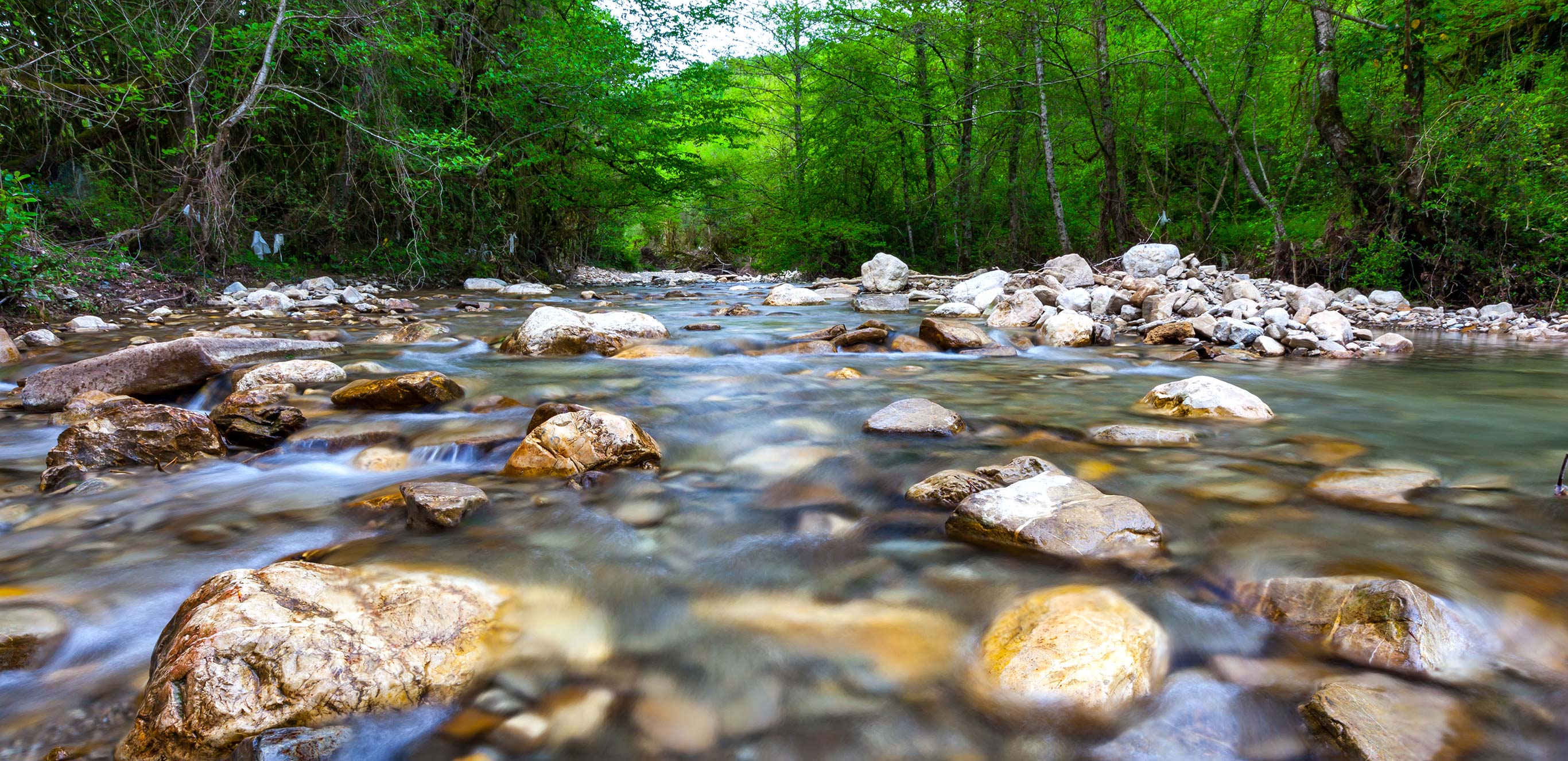 South Deerfield Cooley Lab at Roger Mull blog