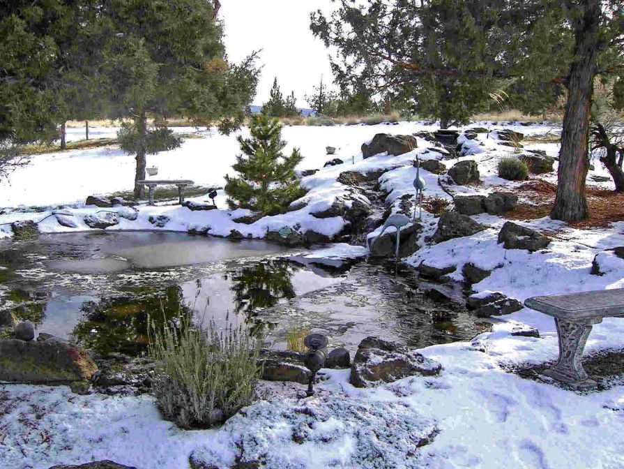 Garden Pond Care In Cold Weather