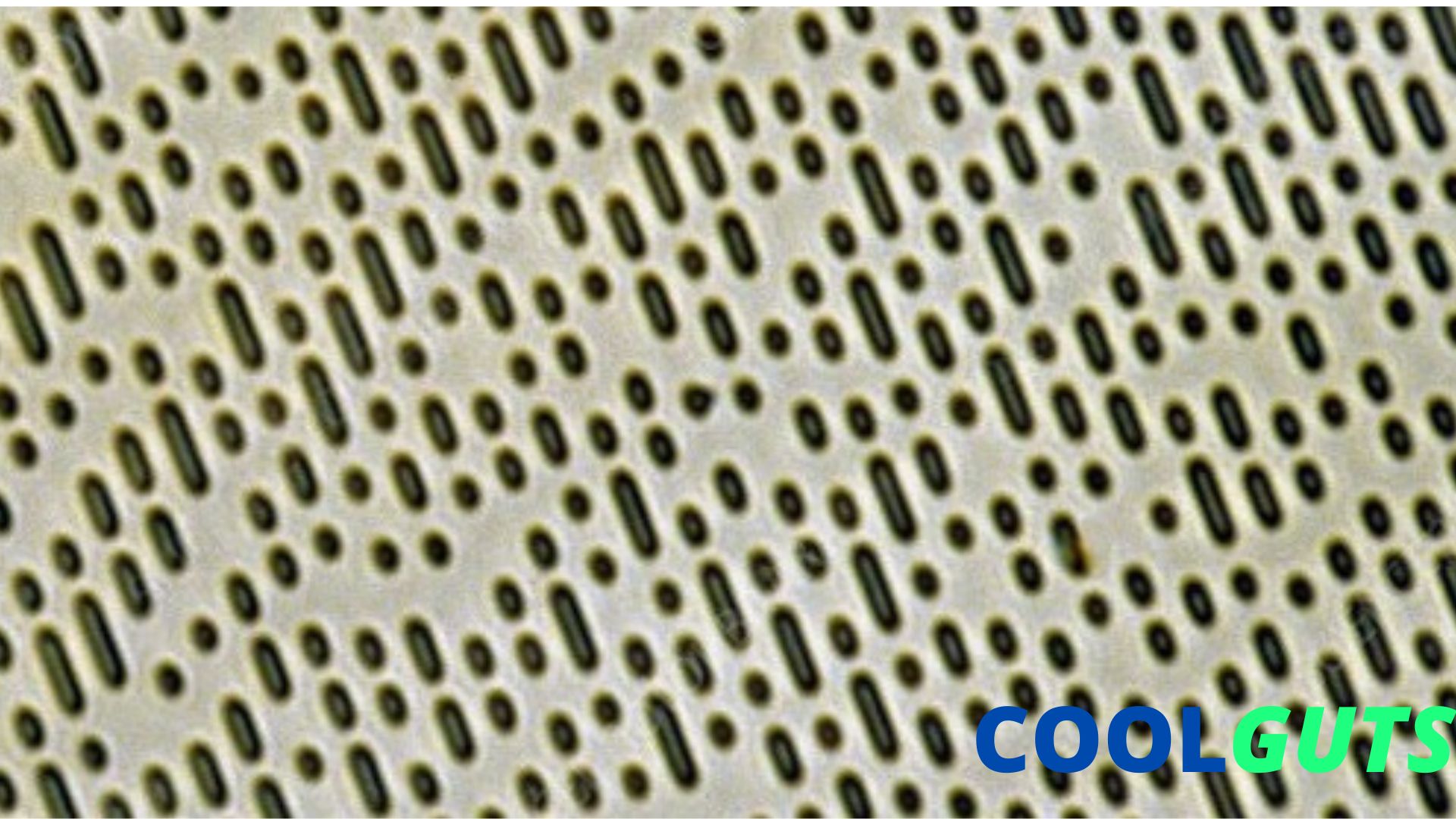 CD ROM Full Form Learn Amazing Things About CD ROM