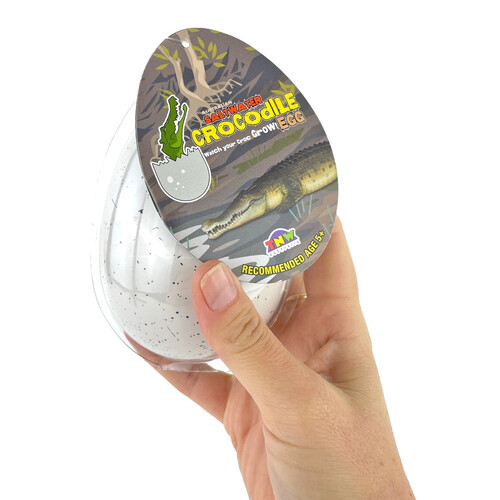 Hatching Crocodile Egg Grow Your Own Pet!
