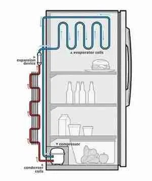 Maintain Efficiency: DIY Clean Refrigerator Coils Tutorial - The Daily Wire