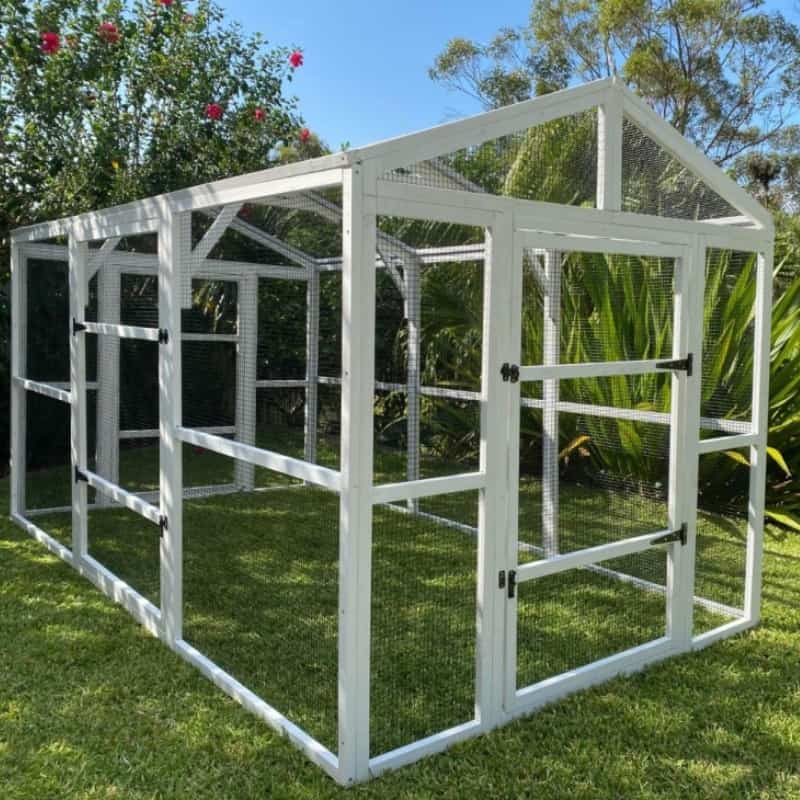 Easy Steps On How To Build A Cat Run Enclosure