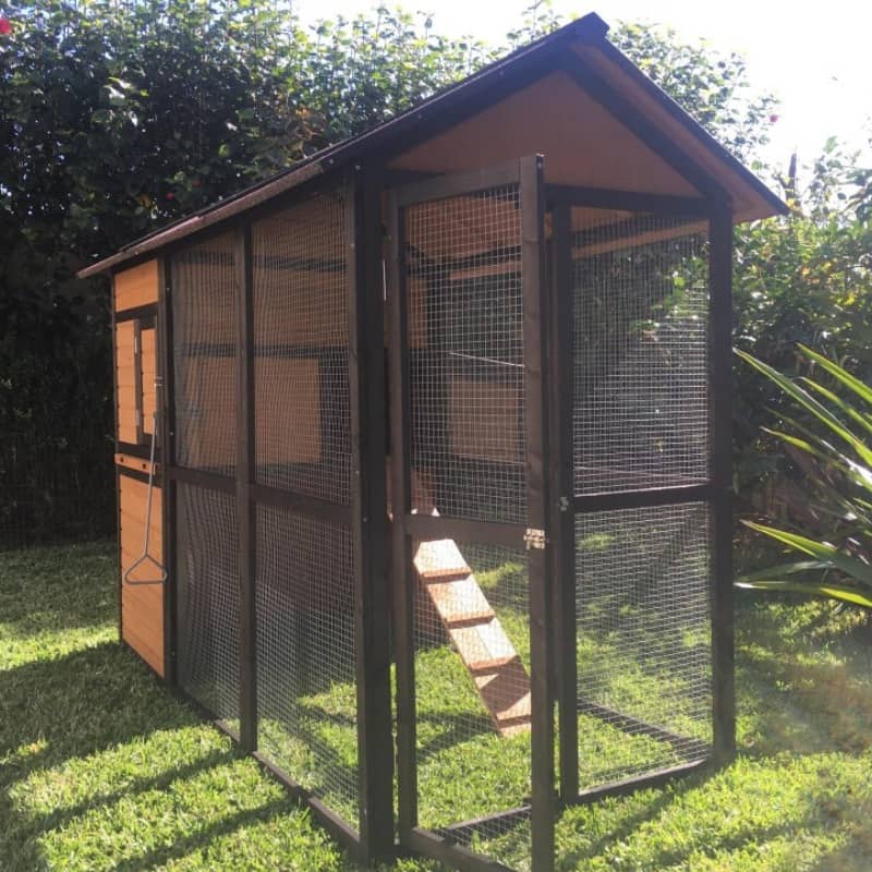 Flemish Giant Rabbit Size, Care And Housing Tips