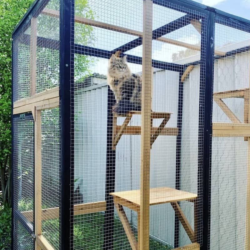 Easy Steps On How To Build A Cat Run Enclosure