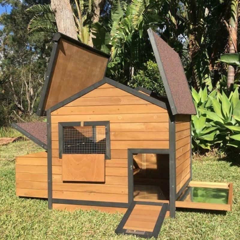 What Do Chickens Need In A Coop A Complete Guide