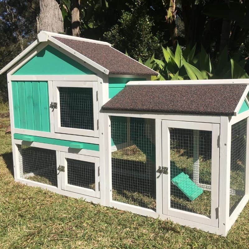 Essential Guide To Cage Sizes For Guinea Pigs