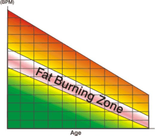 Is the FatBurning Zone a Myth?! Nordictrack Coupons