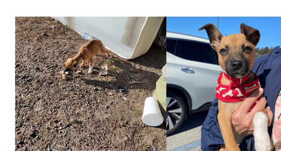 Jenkins Correctional Center Offenders Team up with Jenkins County K 91